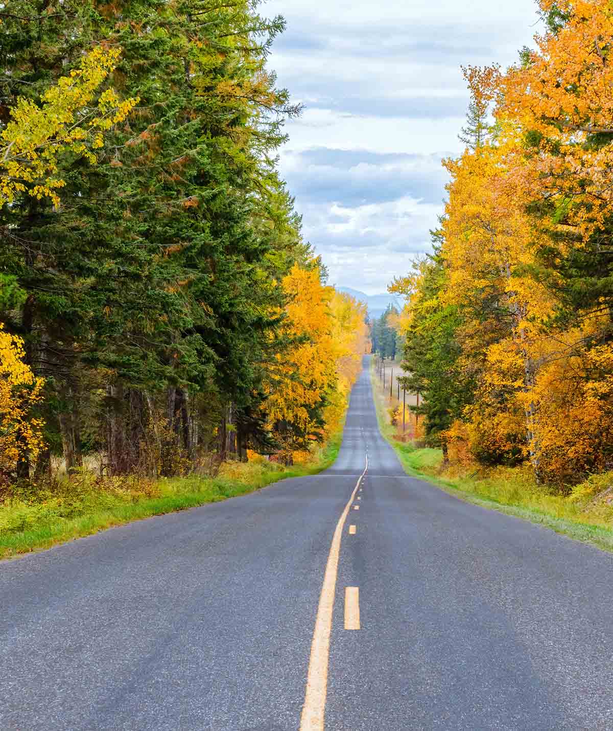 Fall - Homepage_New Fall - Homepage