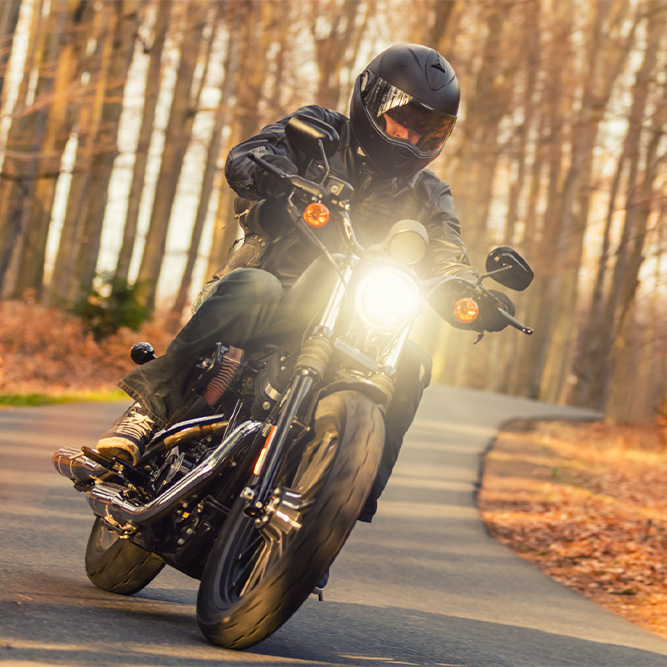 Motorcycle Insurance - Fall Box Motorcycle Insurance