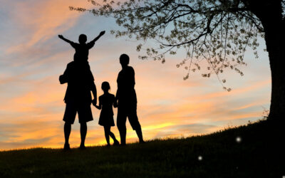 Is Your Insurance Still a Perfect Fit? (It Only Takes a Quick Chat)